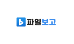 파일보고
